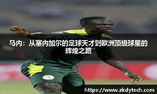 完美体育官网