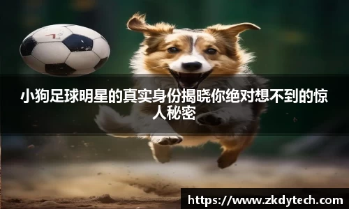 小狗足球明星的真实身份揭晓你绝对想不到的惊人秘密